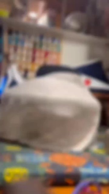 Galinette la modiste de Pézenas, vous montre les différentes étapes de la fabrication d’un chapeau en feutre. À partir d’une cloche de laine feutrée et avec de la voilette on obtient un beau chapeau intemporel. C’est une commande qui m’a été demandée, ma cliente est venue avec une photo d’un modèle vu sur internet.
Je suis entrain de réaliser le même chapeau en sisal vert version été.
#pezenas #chapeau #modiste #voilette #montpellier